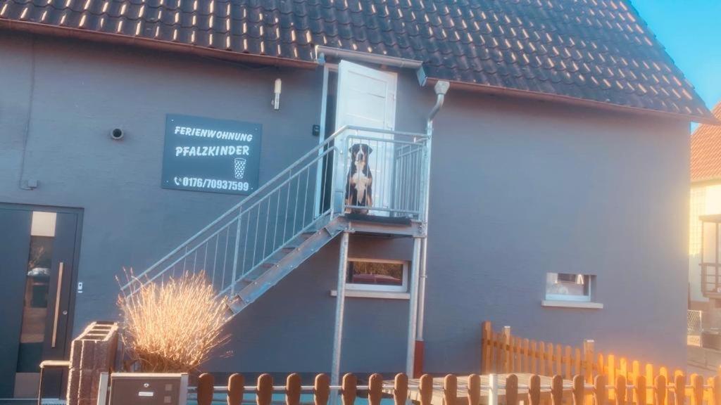 Pfalzkinder Neustadt an der Weinstraße Dış mekan fotoğraf